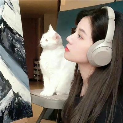 风汐志